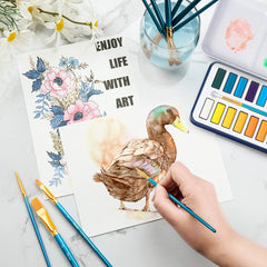 Bianyo Professional Watercolors, Set of 24